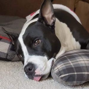 Meet your Posher, Kristy